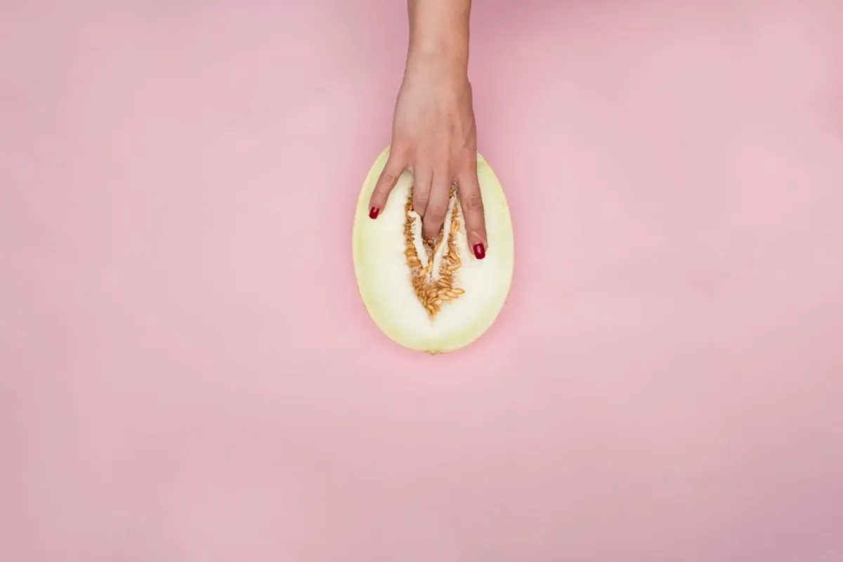 vulva anatomy