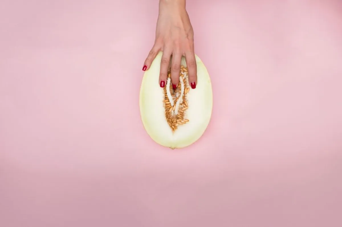 vulva anatomy
