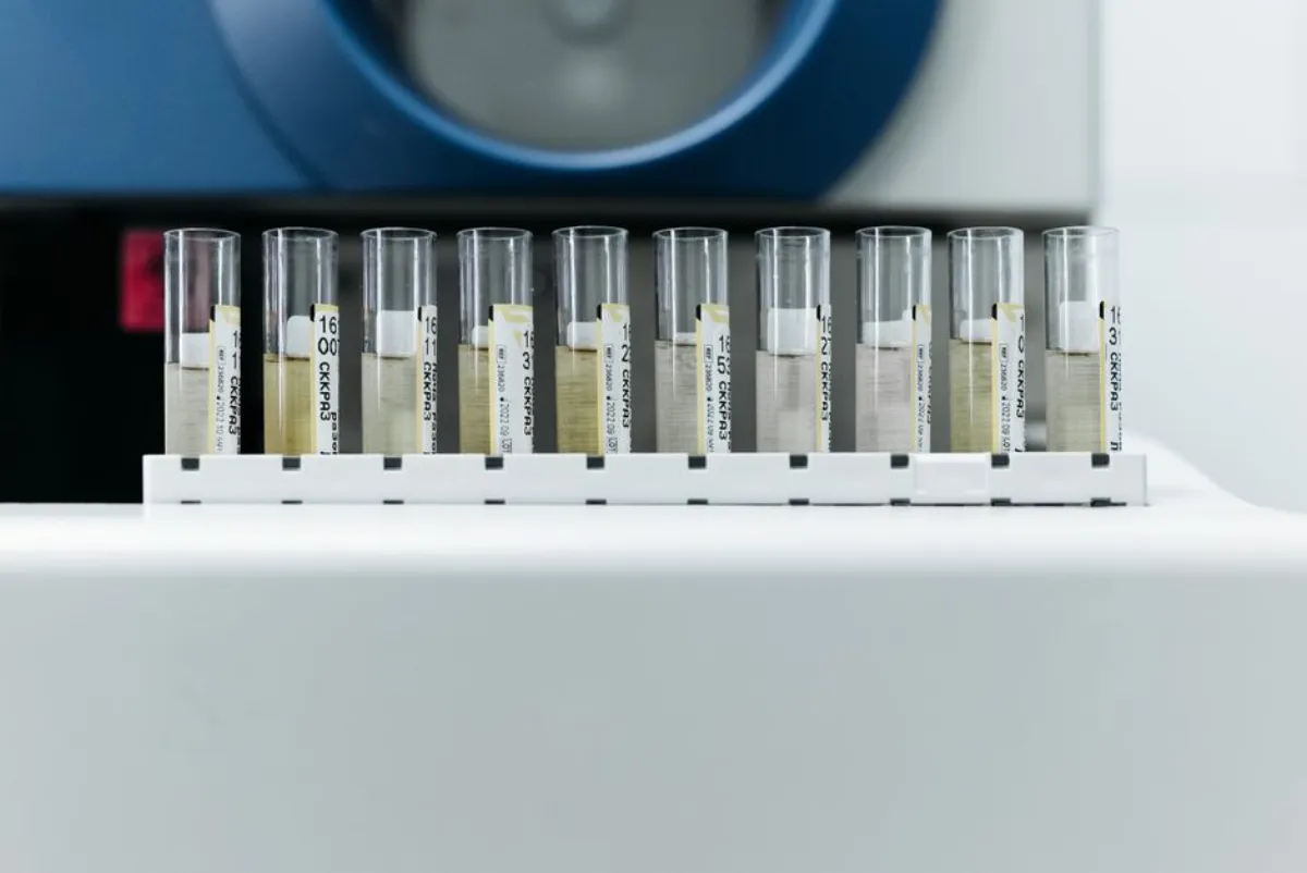 sample library