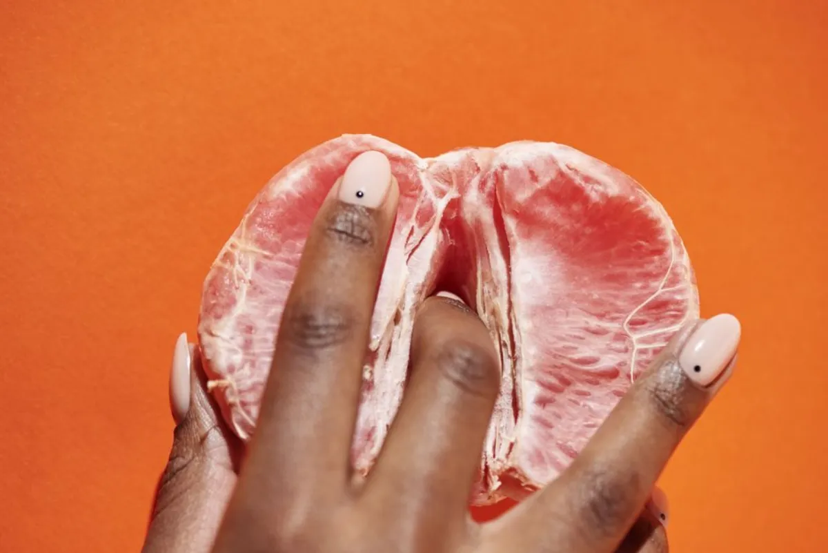 vulva anatomy